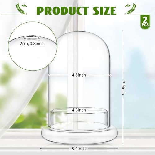 Perthlin 2 Pcs Glass Terrarium 5.9 x 7.9 Inch Terrarium Planter Container Clear Glass Dome Cloche with Airhole and Base for Plant Flower Home Tabletop Display Centerpiece, Plants Not Included