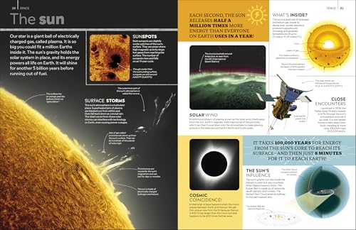 Eyewitness Encyclopedia of Everything: The Ultimate Guide to the World Around You (DK Eyewitness)