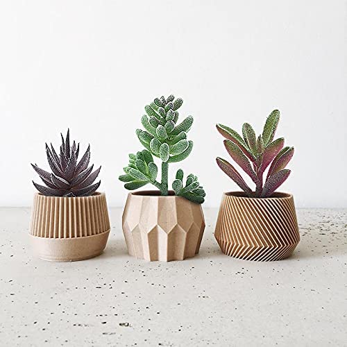 miltonson Artificial Succulent Plants - 18 Pack - Premium Fake Plants - Double Flocked Succulents - Realistic Textured Cactus - Face Succulent Plants - Mini Faux Succulents - Face Plant Decor