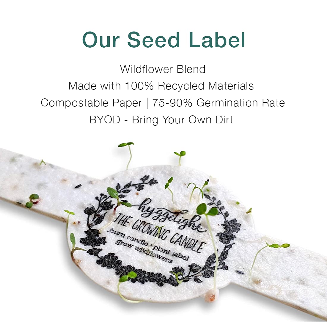 The Growing Candle, from Flame to Flower, Chai Scented, Non-Toxic, 100% Soy Wax, Indoor Wildflower Garden, Aromatherapy Gift for Women, 8oz, 45 Hr Burn Time, Adelyn