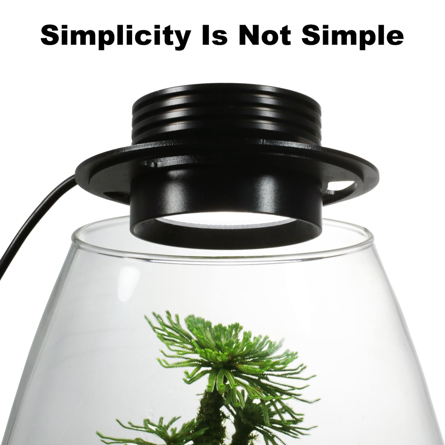 Desktop Glass Terrarium with Grow Light (H:7.8" D:6.7"), for Succulent, Moss, Miniature Gardening Landscape, Betta Fish Tank, Indoor Plant Growth, Office Home Decoration, Plant Lovers Gifts