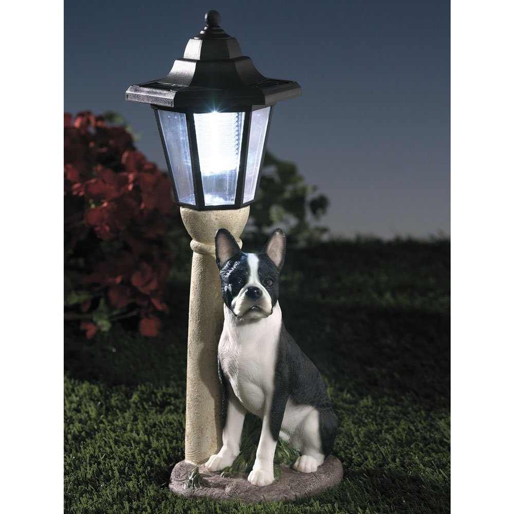 Bits and Pieces - Solar Dog Lantern-Solar Powered Garden Lantern - Resin Dog Sculpture with LED Light (Boston Terrier) - 13.5" Tall