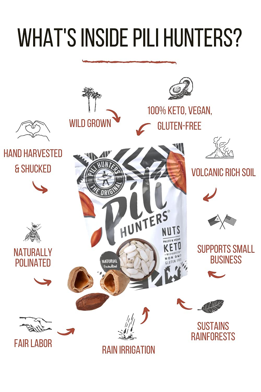 Pili Hunters - Wild Sprouted Pili Nuts (Pack of 5, 1.85 oz Bags) Variety Flavors (Pink Himalayan Salt, Raw Cacao, Rosemary, Avocado Oil, Coconut Oil) Vegan, Keto, Paleo Snack for Low Carb Energy