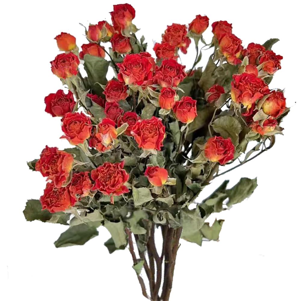 Natural Dried Flowers Bouquet Mini Dried Roses for Wedding Table Vase Decor Boho DIY Wreath Floral Home Office Party Garden Decoration