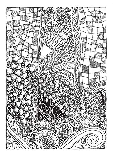 Creative Haven Entangled Coloring Book (Adult Coloring Books: Art & Design)