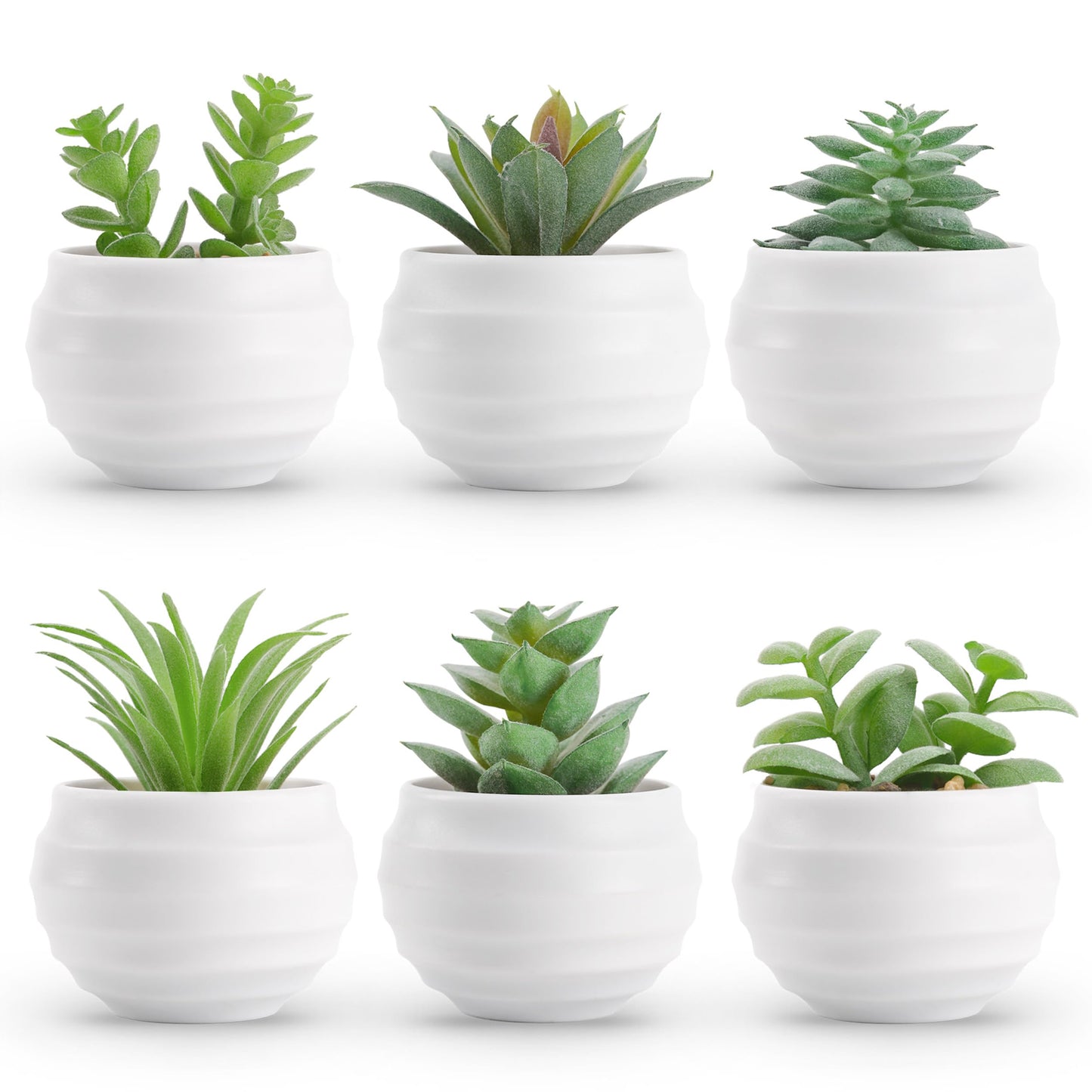 Der Rose Set of 6 Succulents Plants Artificial in Pots Small Fake Plants for Bedroom Aesthetic Living Room Office Shelf Bathroom Decor
