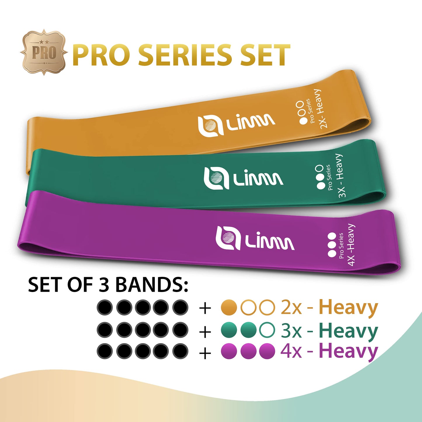 Limm Resistance Loop Exercise Bands - Set of 3 Bands for Working Out with Instruction Guide & Carry Bag - Mini Resistance Bands for Home Workouts, 12" x 2"