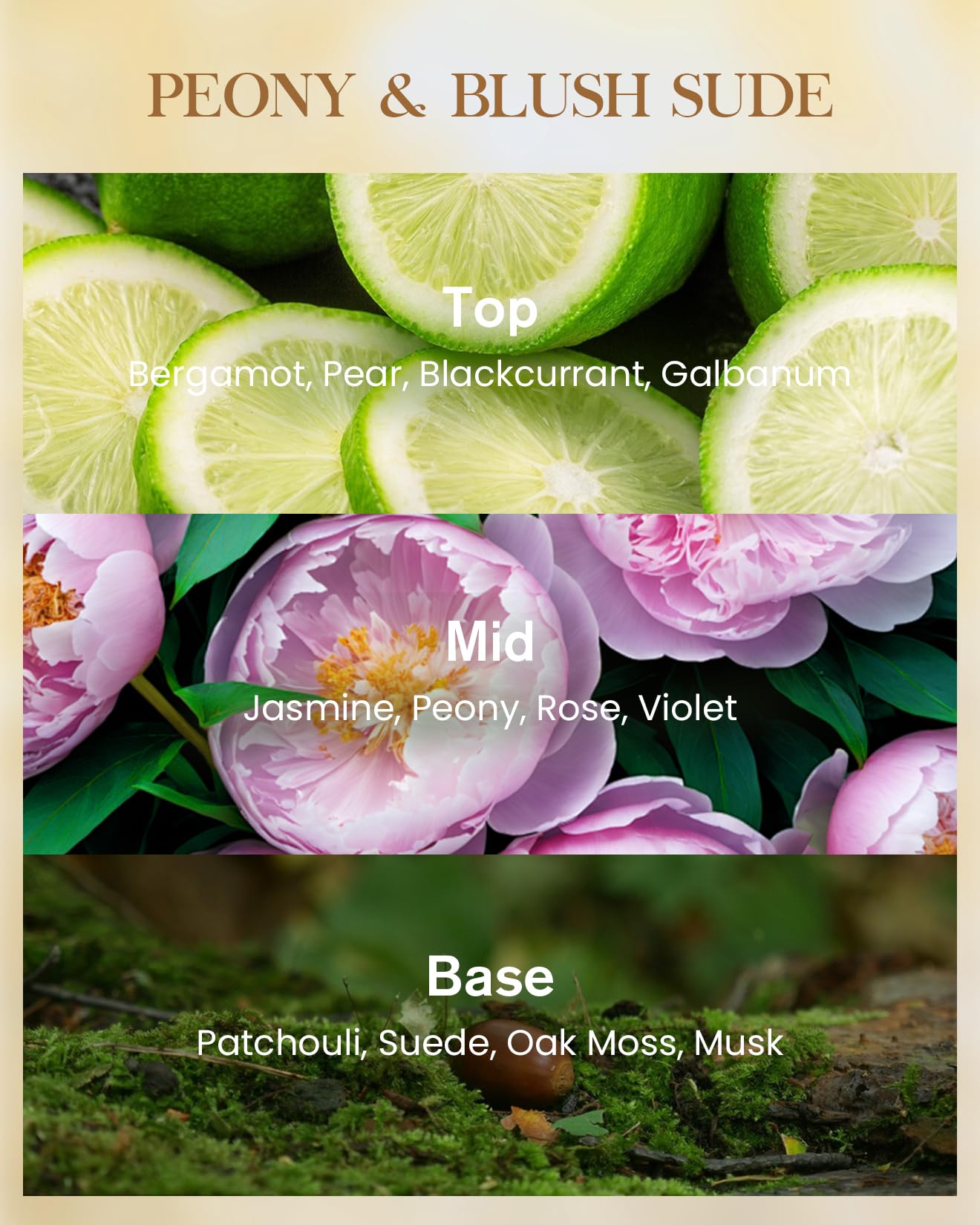 M&SENSE Peony Blush Sude Scented Natural Soy Wax Candle, 14.1oz 60 Hours Long Lasting Slow Burning Candles for Home Decor, Aromatherapy Candle for Stress Relief