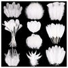 FeelfunFeather 300 pcs Black Craft Feathers- 10 Style Mixed Natural Feather for DIY Earring Home Party Halloween Easter Costume Decoration