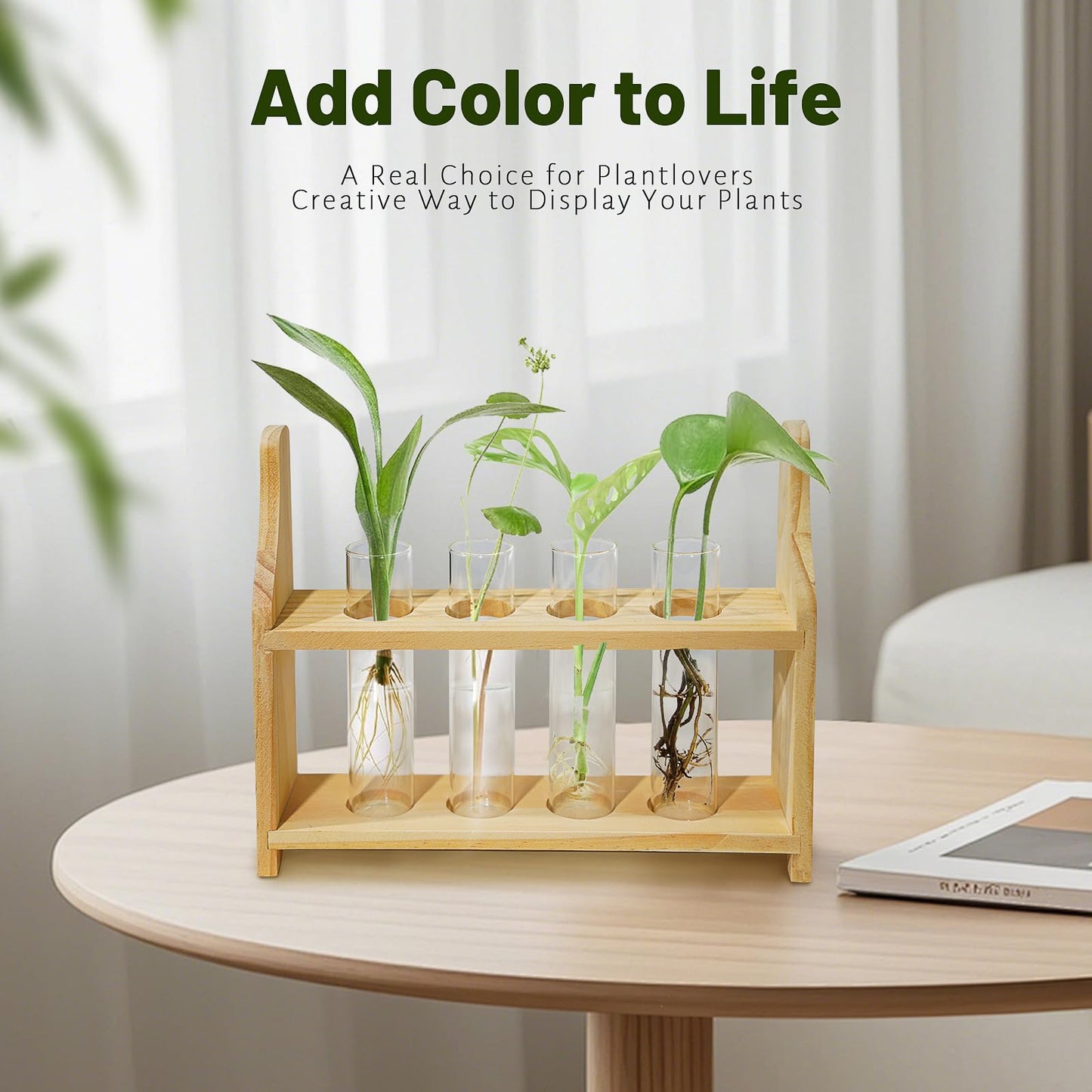 Plant Propagation Station Glass Container for Plants with Wooden Rack Hydroponic Planter, Small Birthday Gardening Gift for Female Moms and Plant Lovers (XXL)