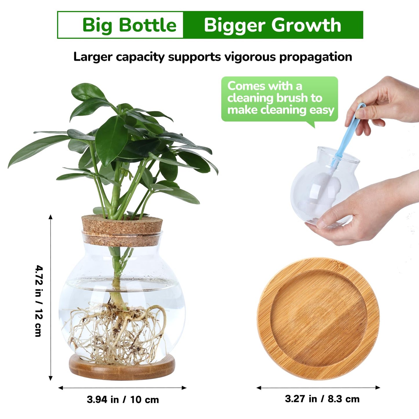 Pechaut Propagation Station, Larger Capacity Ball Vase with Base for Hydroponic Plants, Home/Office Decor & Gift for Plant Lovers, 2pcs Glass Terrariums