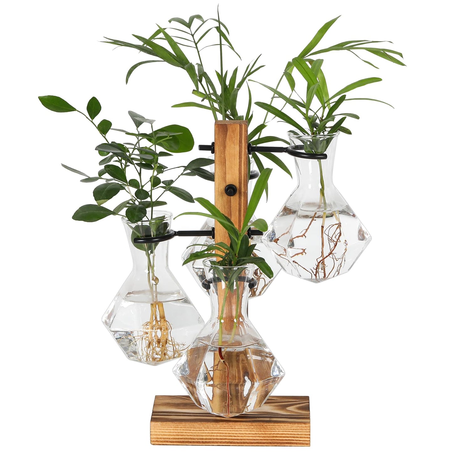 PAG-Mass Planter Terrariums Kit, Desktop Hydroponics Air Planter Holder, Plant Propagation Station with 4 Glass Vase and Solid Wood Stand, Gardening Gift for Women and Plant Lovers