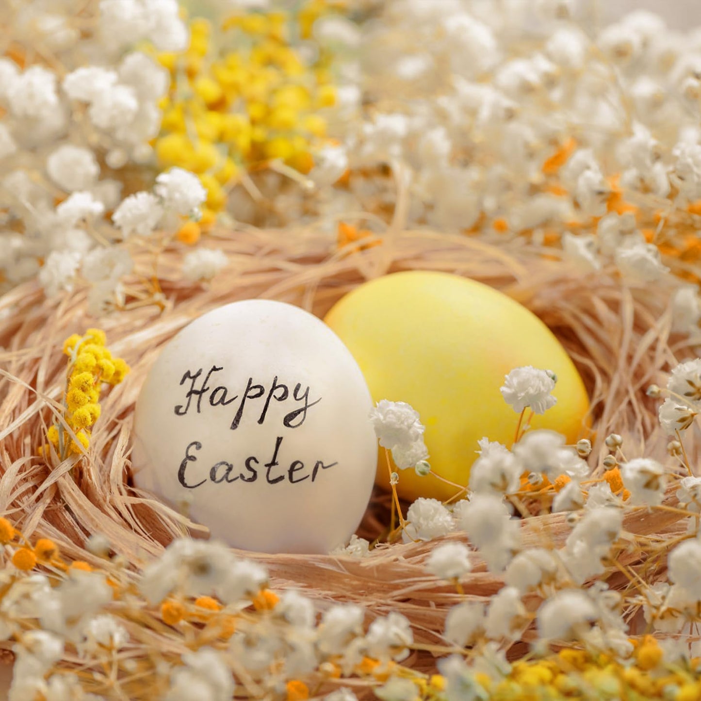Dried Babys Breath Bouquet-17.2 inch Dried Flowers, Natural Gypsophila Branches for Home Decor, Wedding, Table Decor, DIY Wreath Floral, Dry Flowers Bulk for Vase (Ivory White max)