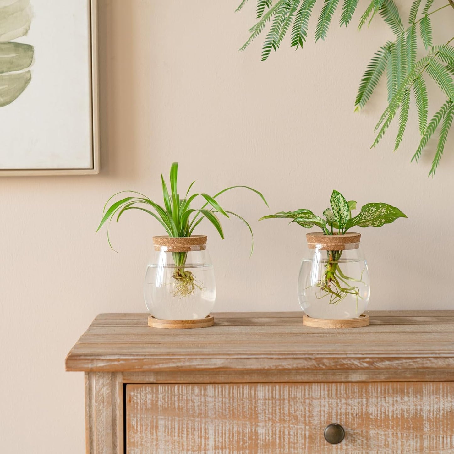 Dahey Plant Propagation Jars Plant Terrarium Glass Vase with Wooden Saucer and Cork Planter Station for Growing Hydroponic Plants Indoor Table Centerpirce Home Office Decor, Set of 2