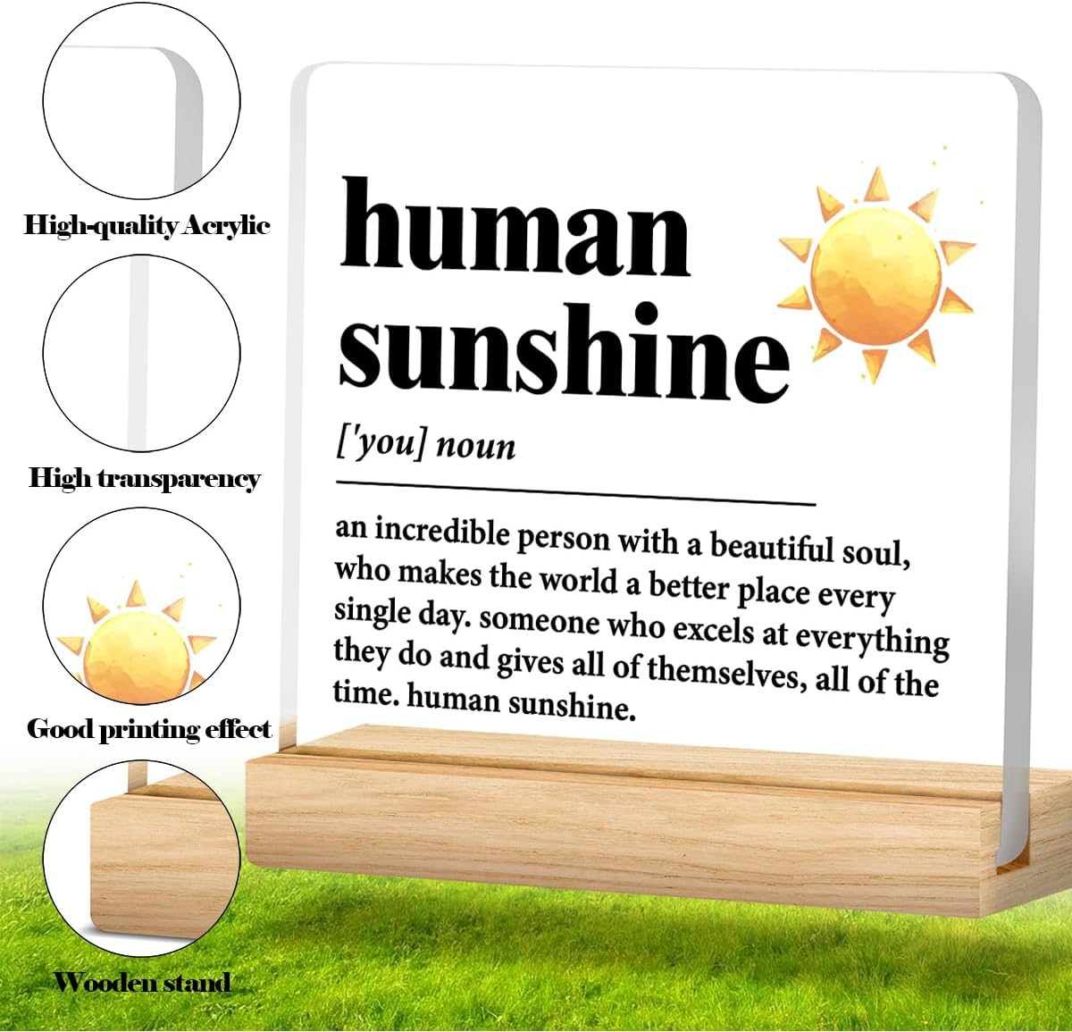 Human Sunshine Motivational Gift for Women Men, Employee Appreciation, Coworker Leader Teacher Coach Mentor, Definition Acrylic Desk Sign Decor