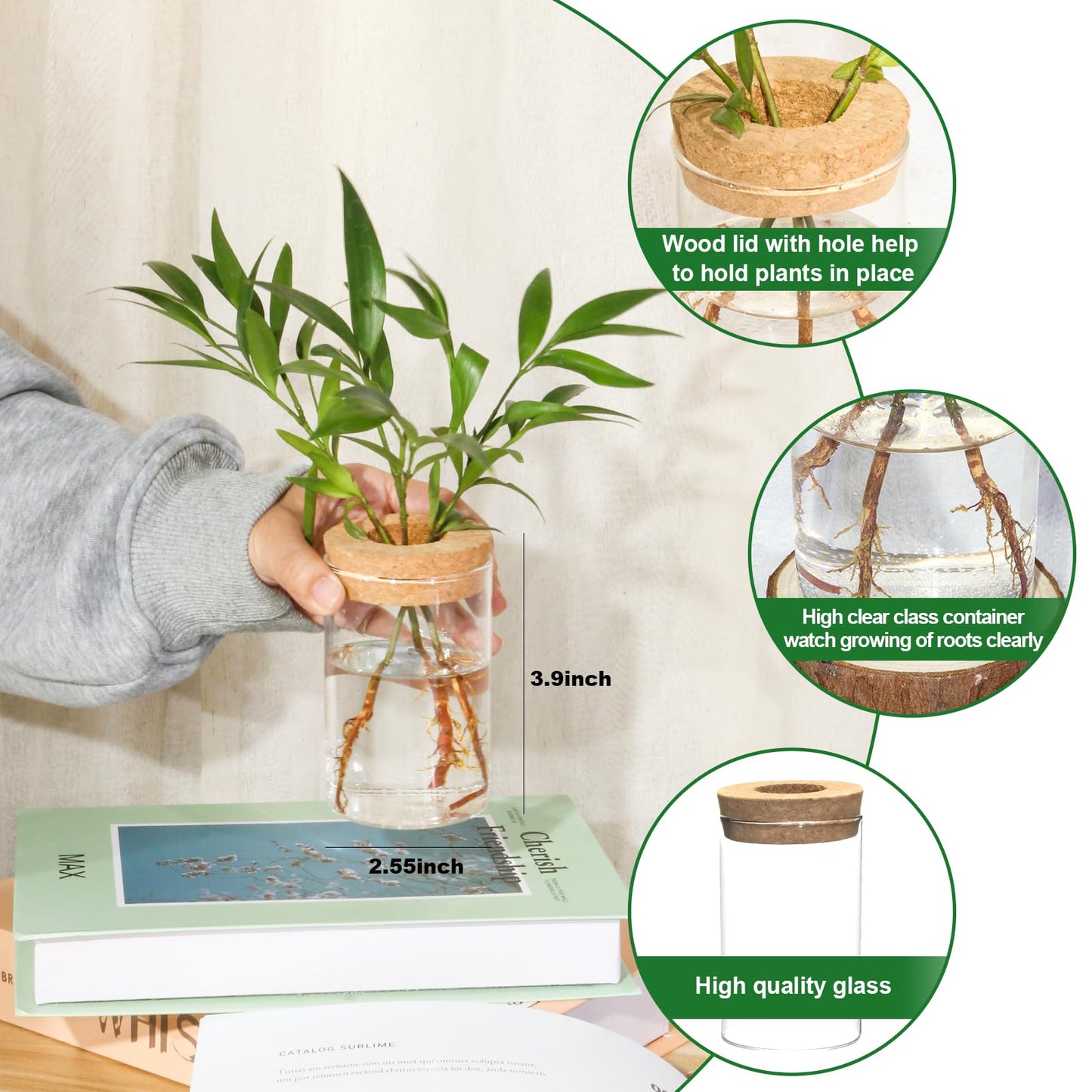 wangsdjy Separated Desktop Glass Flower Vases - Ideal Plants Propagation Stations for Living Room, Bedroom Decoration,Home Decor (2)