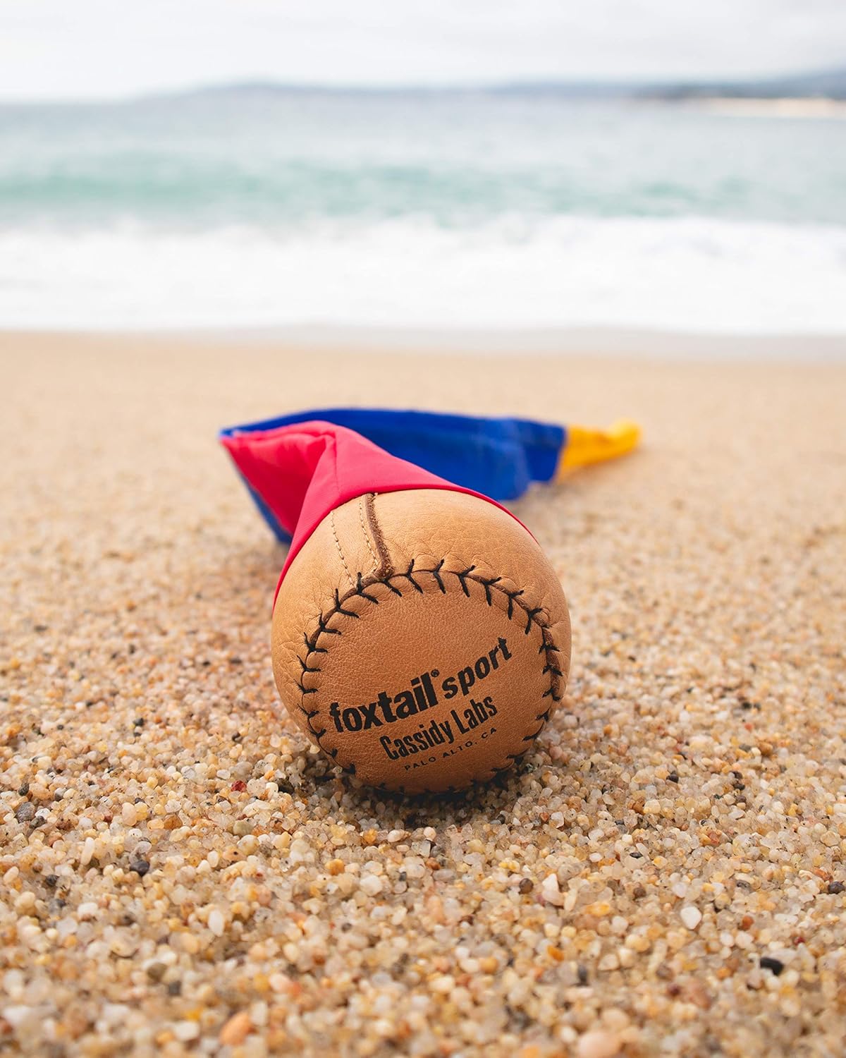 Foxtail Sport - The Original 90s Throw and Catch Outdoor Game (Ages 8+)