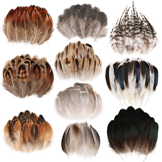 FeelfunFeather 300 pcs Black Craft Feathers- 10 Style Mixed Natural Feather for DIY Earring Home Party Halloween Easter Costume Decoration