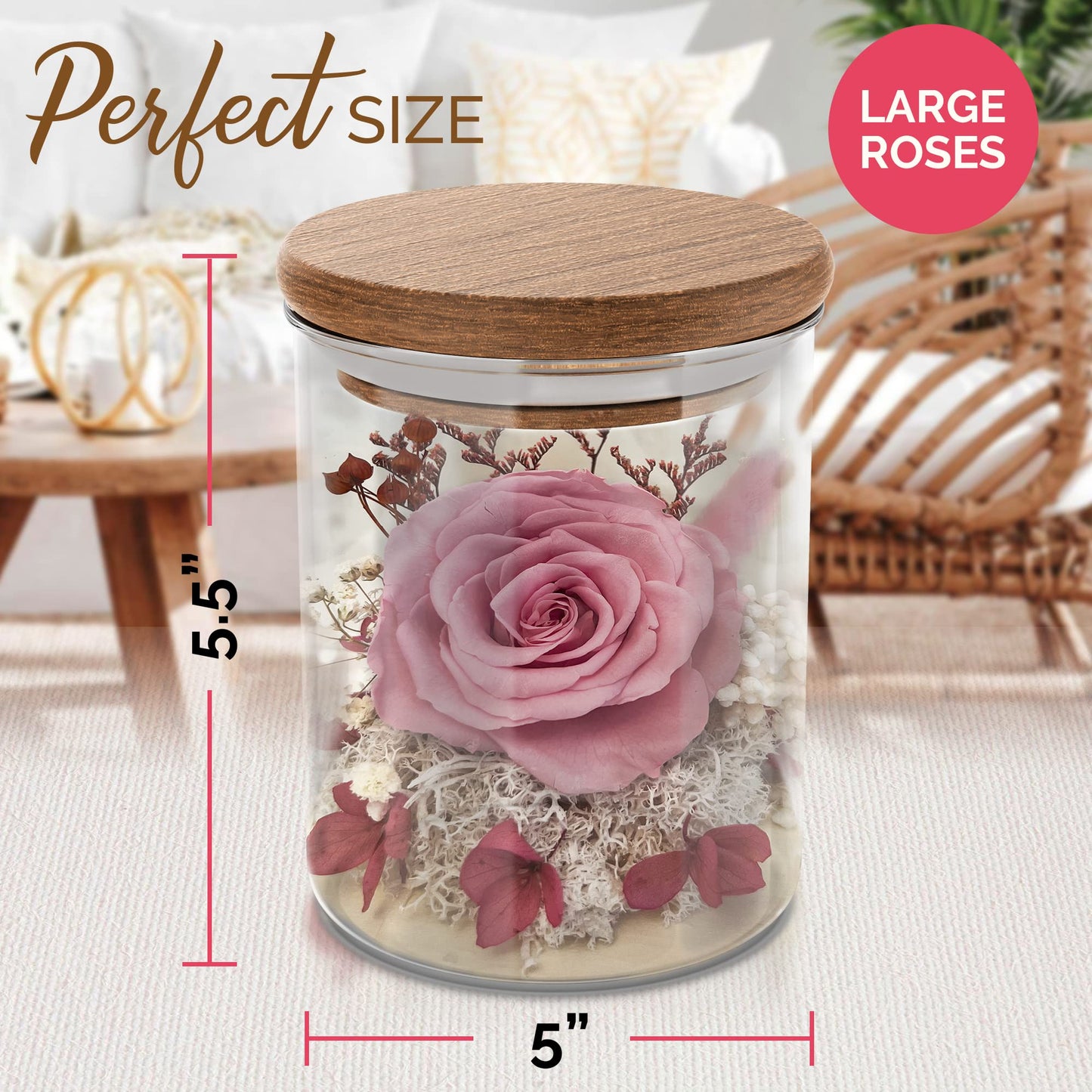 Havenstock Pink Rose in a Glass Dome - Premium Real Roses That Last a Year or More - Mother's Day Unique Gifts for Her Preserved Roses - Forever Flower Decor Preserved Flowers - Eternal Rose Display