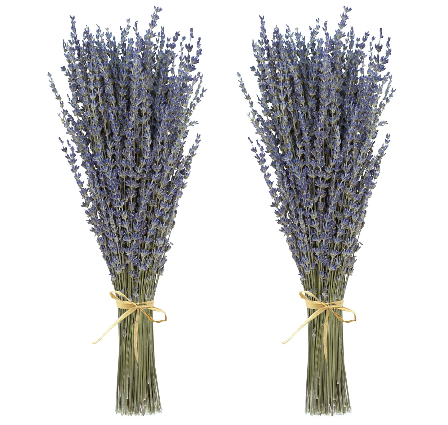 Dried Lavender 3 Bunches 100% Fresh Natural Purple Bouquet Flowers for Bathroom Photo Props Crafts Decoration, 15-17" for Shower Weeding Vase Decor, Aromatherapy Home Fragrance(300-330 Stems Total)