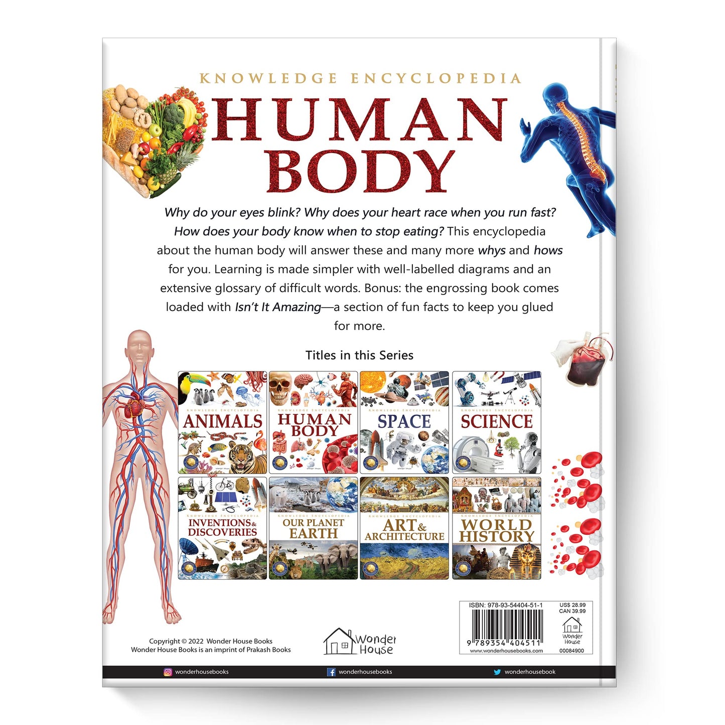 Knowledge Encyclopedia: Human Body (Knowledge Encyclopedia For Children)
