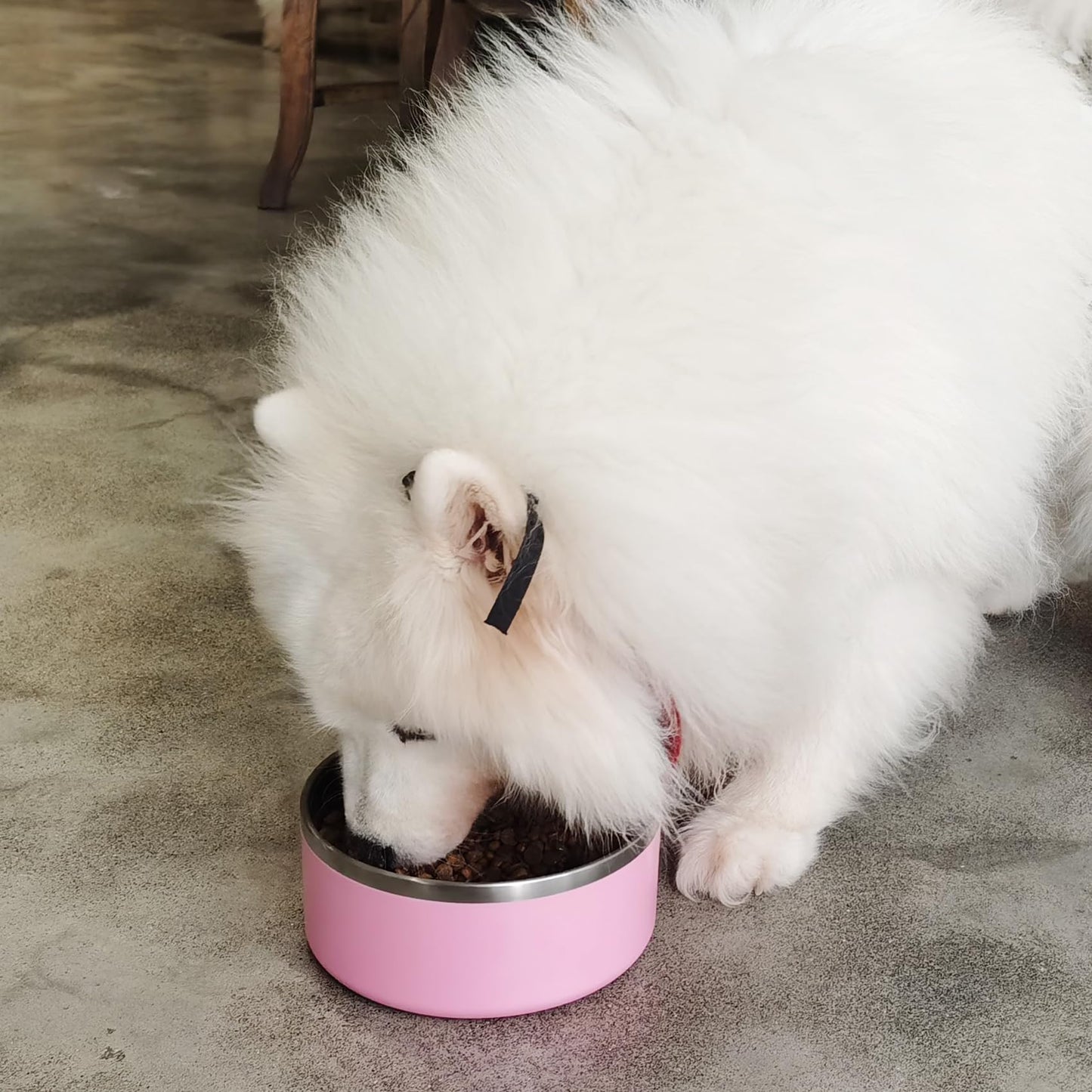 LIHOOOOM Stainless Steel Dog Bowls for Large Dogs - Insulated, Non Slip, Easy Clean, 40oz, Pink