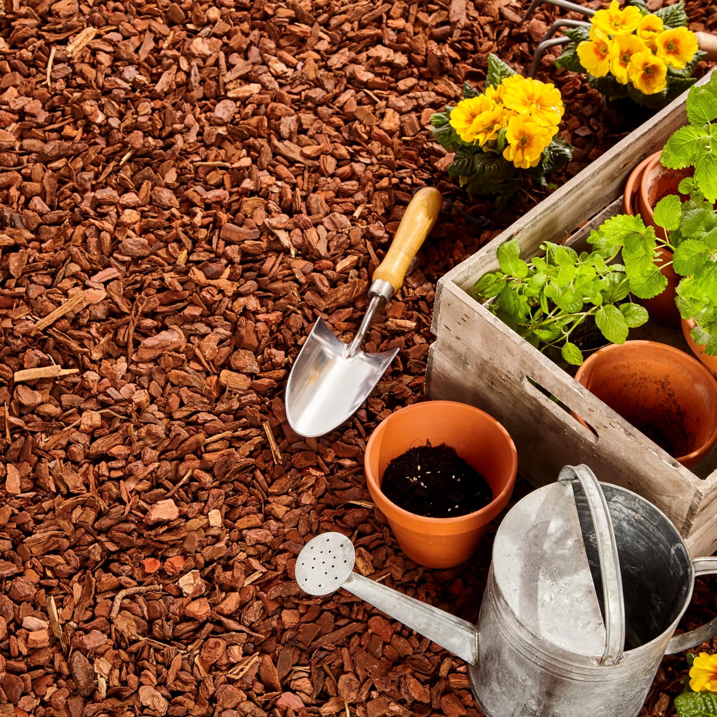 GARDENWISE Premium Pine Bark Nuggets β Pine Bark Mulch for Gardens, Landscaping, Potted Plants, and Wood Chips for Garden Beds (0.3 CF - 8 L - 9 QTS)