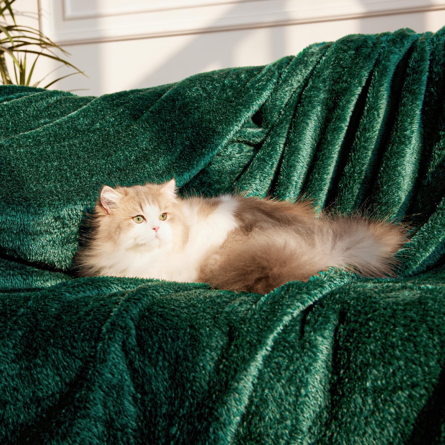 Whale Flotilla Emerald Green Queen Size Blanket for Bed, 300GSM Soft Warm Fleece Fabric, Decorative Lightweight Plush Fluffy Blankets for All Season, 90x90 Inch