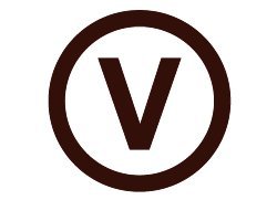 Black Tai Salt Co. Brand 2 Pack of 100% Himalayan Salt Detox 4x8x2 Foot Bricks