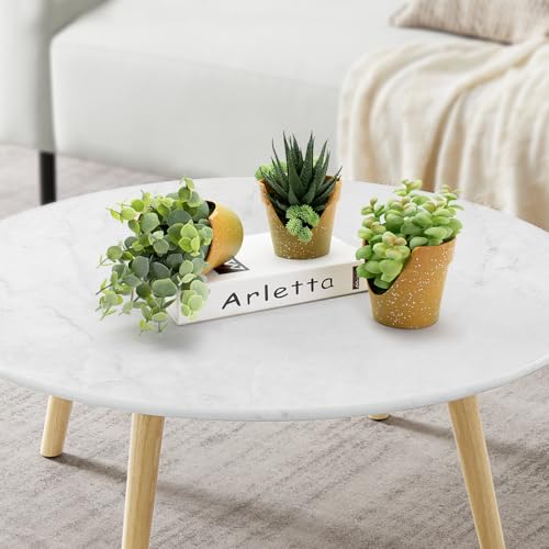 SENCID 3 Pack Small Artificial Succulents - Mini Plastic Pot Desktop Fake Plants for Desks, Bathrooms, Coffee Tables, Offices and Farmhouse Decor (Standing or Flat)