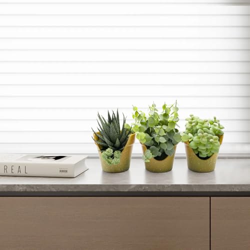 SENCID 3 Pack Small Artificial Succulents - Mini Plastic Pot Desktop Fake Plants for Desks, Bathrooms, Coffee Tables, Offices and Farmhouse Decor (Standing or Flat)