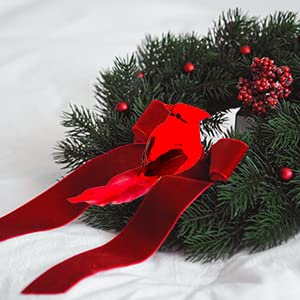 YCHTEWY-Cardinal Clip On Christmas Tree Ornament Decorations - Red Feathers Set of 12 Pieces Each is 4.5" Lon…