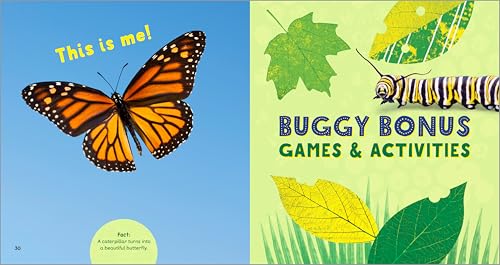 The Backyard Bug Book for Kids: Storybook, Insect Facts, and Activities (Let's Learn About Bugs and Animals)