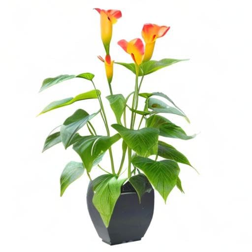 Artificial Flower Plants Calla Lily Faux Small Potted Plant with Black Pot Fake Bonsai Flower for Home, Office, Indoor and Outdoor Occasions Decor (Orange Fake Flower)