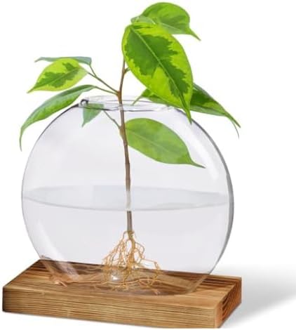Plant Propagation Station Vase, Glass Terrarium Jars, Modern Hydroponic Planters for Indoor Plants, Desktop Glass Pots for Plants Round Vases Plant Holder Home Office Decor, 1Vase