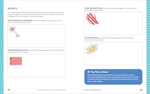 Human Body Activity Book for Kids: Hands-On Fun for Grades K-3