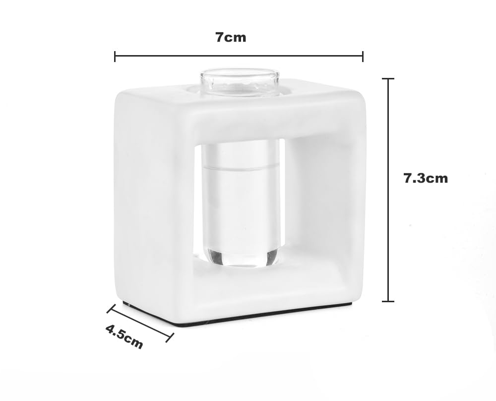 ORGJ Ceramic Propagation Station - 2-in-1 Water Propagation Vase & Aroma Diffuser for Plants, Geometric Propagation Tubes with Plant Rooting Containers, Modern White Decor