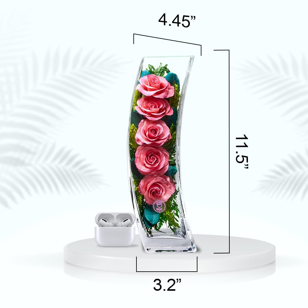 In Flores Veritas | Fresh Cut Preserved Roses in a Sealed Glass Vase | Long Lasting Bouquet Stays Fresh for 5+ Years | No Water Needed | Allergy Free | Unique Present Gift (FOMO Pink)