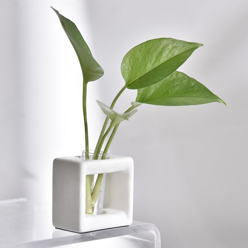 ORGJ Ceramic Propagation Station - 2-in-1 Water Propagation Vase & Aroma Diffuser for Plants, Geometric Propagation Tubes with Plant Rooting Containers, Modern White Decor