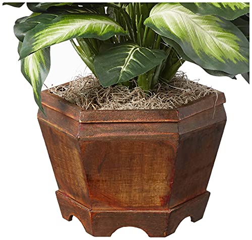 Nearly Natural 22IN Artificial Triple Golden Dieffenbachia Plant with Decorative Wood Planter, Faux Plant for Indoor Home Décor
