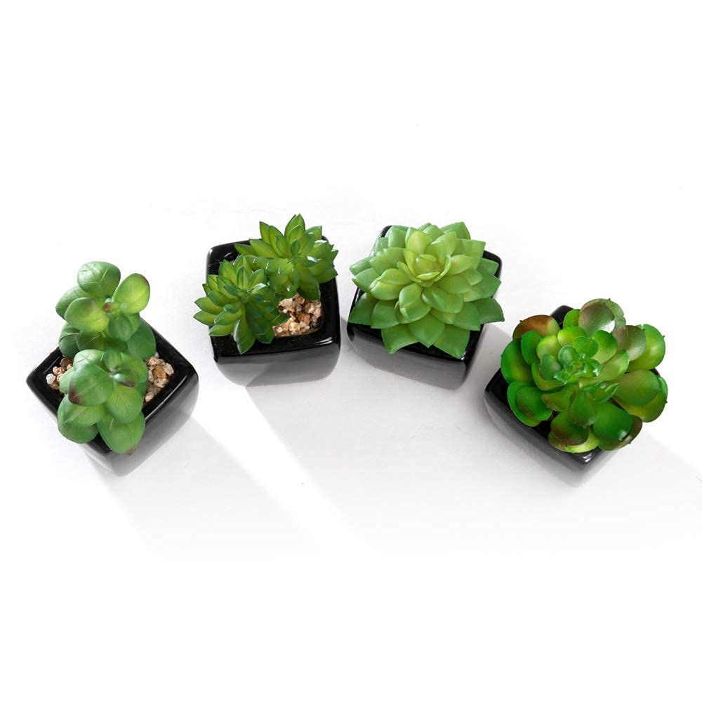 Nattol Modern Mini Artificial Succulent Plants Potted in Cube-Shape Black Ceramic Pots for Home Decor, Set of 4