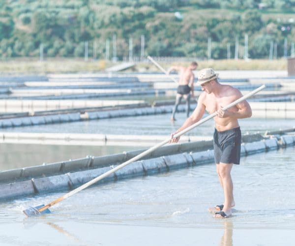 82 Minerals French Grey Sea Salt | Premium Hand-Harvested Sel Gris | 4oz Coarse Mineral & Electrolyte Finishing Salt