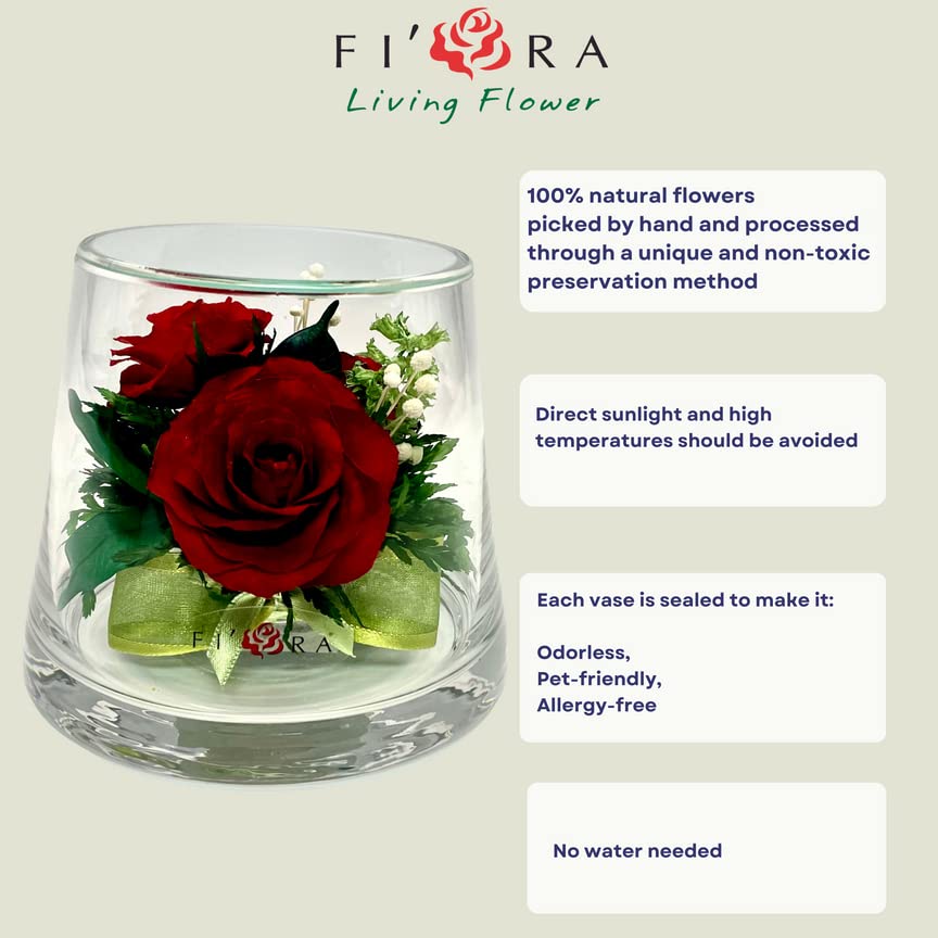 Fiora Flower | Long Lasting Real Roses in a Sealed Vase | Lasts up to 5 Years | Unique Present Gift