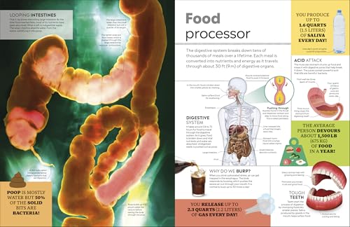 Eyewitness Encyclopedia of Everything: The Ultimate Guide to the World Around You (DK Eyewitness)