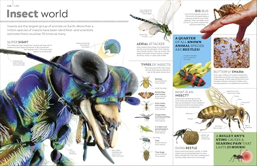 Eyewitness Encyclopedia of Everything: The Ultimate Guide to the World Around You (DK Eyewitness)