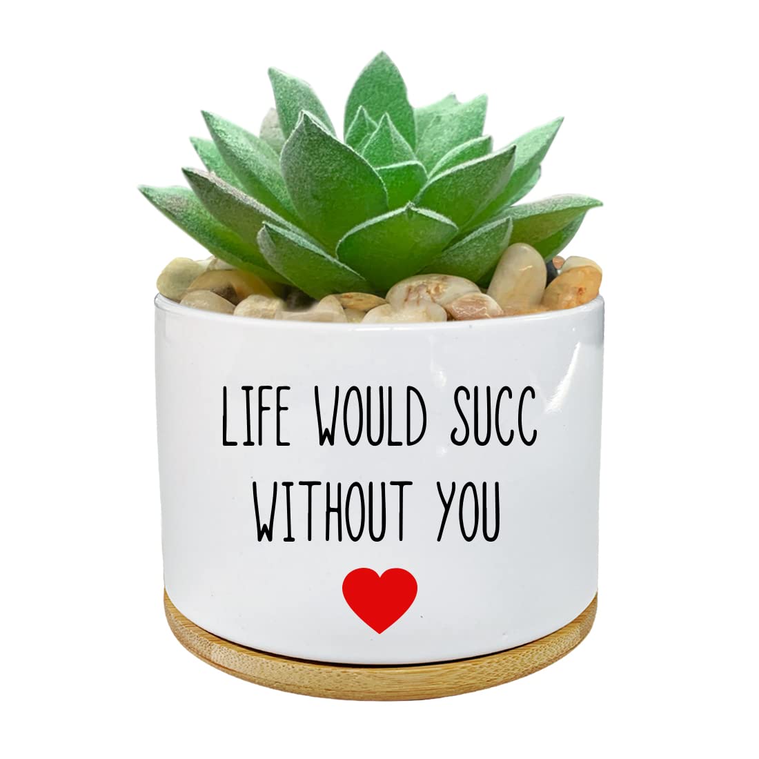 Funny Life Would SUCC Without You Planter Pots, White Ceramic Engraved Mini Succulent Cactus Planter Pot, Home Office Windowsill Plant Pots for Plant Lover Birthday