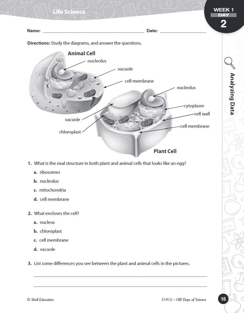 180 Days™: Science, Earth and Space Science for 6th Grade Practice Workbook for Classroom and Home, Cool and Fun Practice Created by Teachers (180 Days of Practice)