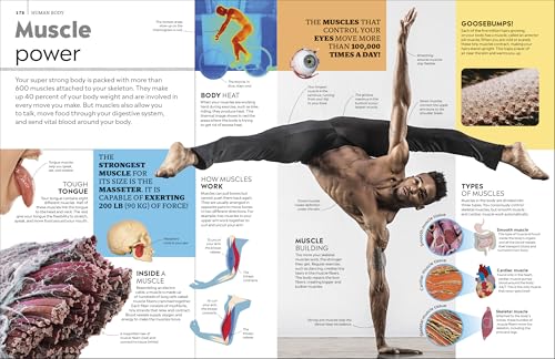 Eyewitness Encyclopedia of Everything: The Ultimate Guide to the World Around You (DK Eyewitness)