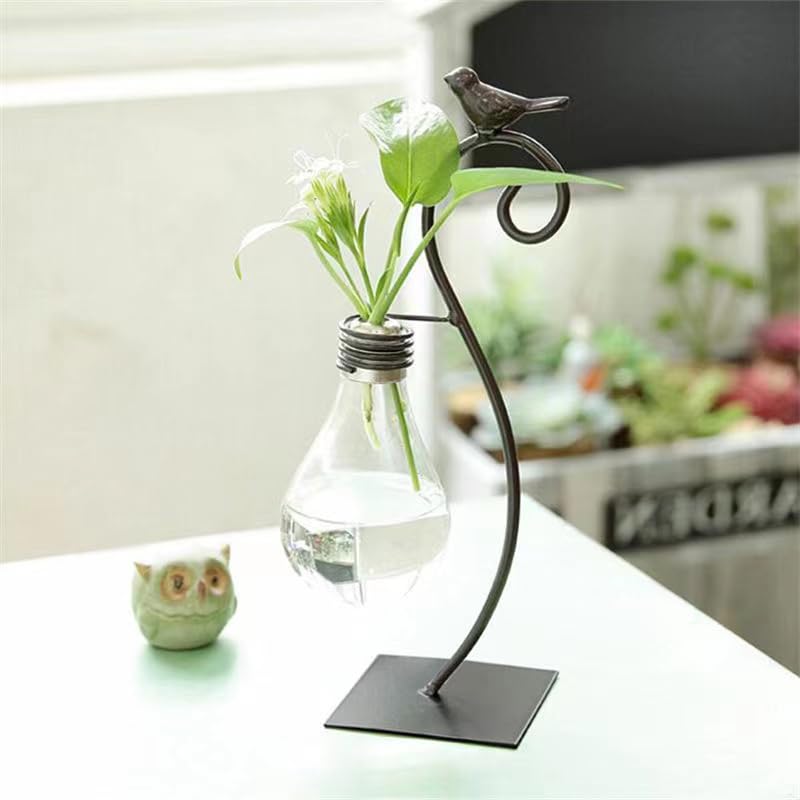 Calnegaris Desktop Glass Planter Hydroponics Vase, Planter Bulb Vase with Holder, Creative Bird Lant Terrarium Stand for Home Decor, for Flowers, Succulents, Propagation