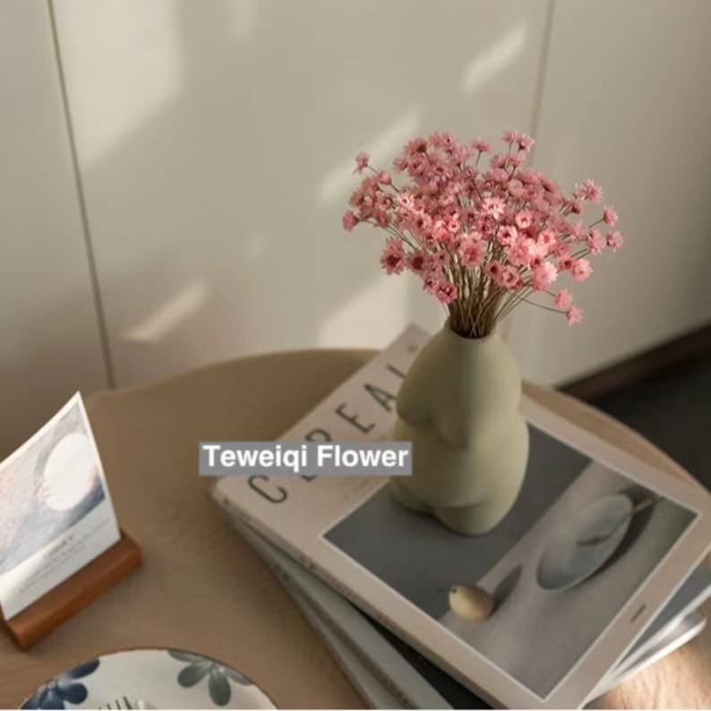 Natural - Dried - Flowers Brazilian Small Star Daisy Dried Decorative Mini Chamomile Bouquet for Wedding Floral Arrangements Home Decorations Valentine's Day Gifts (200 Stems) (Pink)